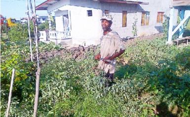 A resident in his home garden 