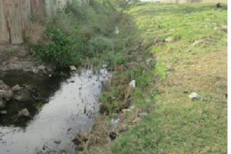 The trench that separates residents from the Uitvlugt seawall is heavily overgrown with vegetation and riddled with garbage, resulting in an inefficient drainage system when overtopping of the seawall occurs. Residents say they have consistently complained to the RDC.
