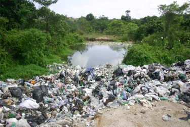 Dumping near to the Dakoura Creek 