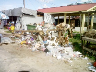 The Charity/Urasara NDC says that residents are to blame for the overflow of garbage in the market area and their misuse of the garbage system currently in place is creating a health hazard.  This photo shows garbage dumped indiscriminately.