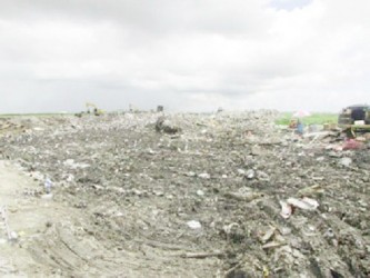 Cell One of the Haags Bosch Landfill Facility. Up to last year, it was noted that the facility was accepting double the daily capacity of waste it was designed to accommodate, which has presented ongoing challenges from the commencement of the project. (GINA photo)