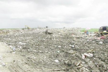 Cell One of the Haags Bosch Landfill Facility. Up to last year, it was noted that the facility was accepting double the daily capacity of waste it was designed to accommodate, which has presented ongoing challenges from the commencement of the project. (GINA photo)