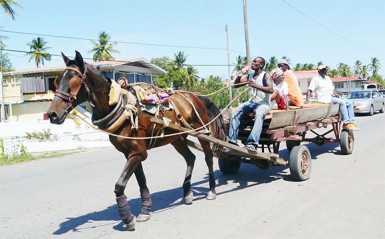 A horse-cart with passengers  passing through the village