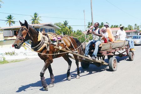 A horse-cart with passengers
passing through the village