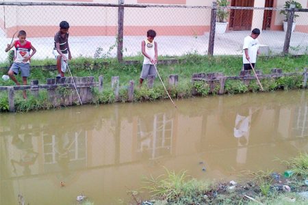 Four friends fishing in a canal in Lusignan yesterday afternoon