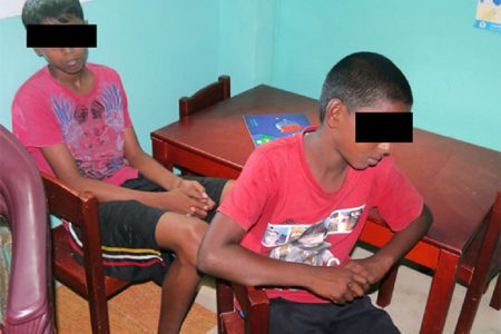 The two boys, who are 12 and 14, who were found working at a a grocery at Bath Settlement, West Coast Berbice.