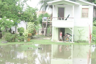 This girl stands at her door watching the floodwater in her yard. (Photo by Arian Browne) 