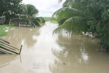 A trench in Le Ressouvenir that continued to swell with water even after intense rain ceased. (Photo by Arian Browne)