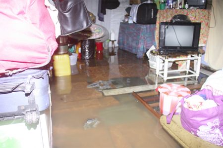 A flooded house in Victoria Street, Albouystown last evening.
