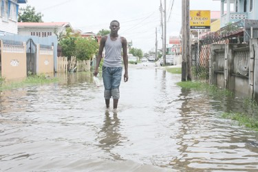 This lone ranger was seen wading through the waters in La Penitence yesterday.  