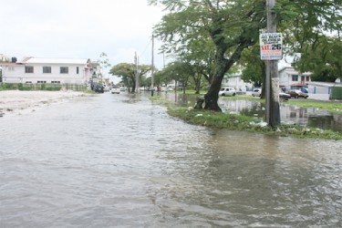 South Road was a virtual sea yesterday. 