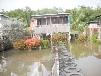 A yard in Harlem on the West Coast of Demerara. 