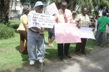  One of the demonstrators braces on his cane as other protestors rally opposite the Office of the President. (Photo by Arian Browne)