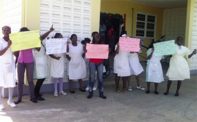 The nurses and other workers during Thursday’s protest at the Fort Wellington Hospital 