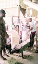 Workers at the rice mill packaging off bags of rice  