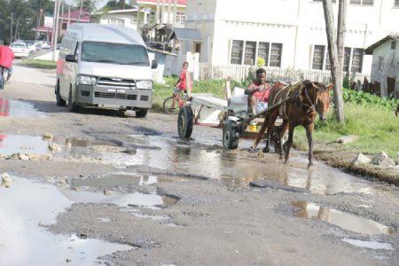 Horse power: Clearly, the horse-drawn cart is better suited to the terrain here. This used to be a single pothole on West Front Road and it has now spread across the entire road. (Photo by Arian Browne)