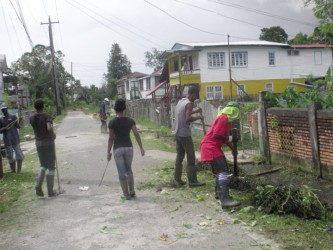 Agricola residents hard at work on the southern side of Remus (First) Street during the clean-up programme yesterday. 