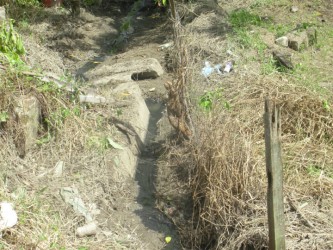 A cleared Riverview drain  