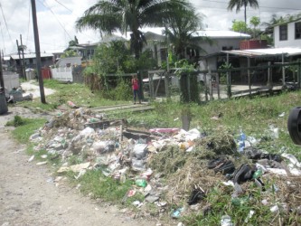 Garbage piled up at Riverview after the clean-up exercise yesterday. 