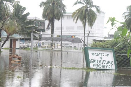 The flooded Agriculture Ministry compound on November 27th
