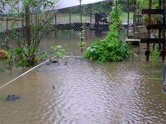 A deeply flooded yard