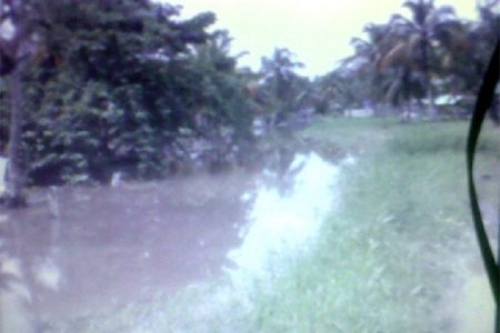  The flooded squatting area
