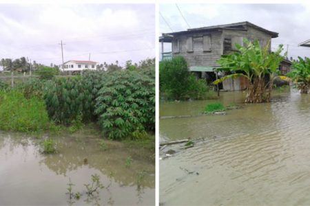 Flooded rice fields, farms and residential areas