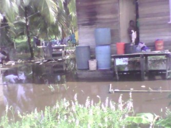 Houses surrounded by water in the Charity Squatting Area.