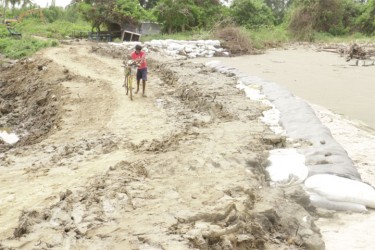 The temporary dam built with sand bags and clay.