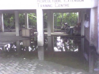 Water outside the GECOM registration office.