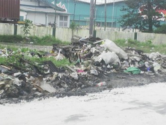 The increased pile of garbage at Industrial Site  