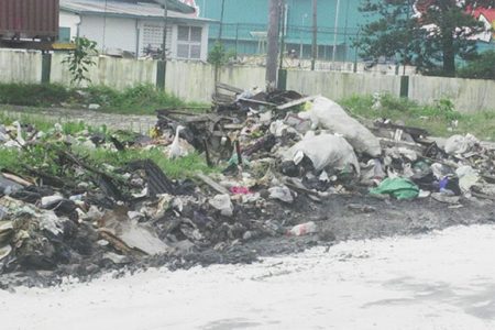 The increased pile of garbage at Industrial Site
