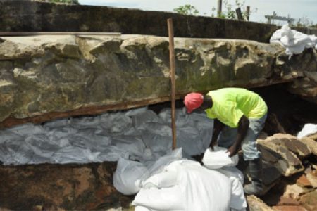 Sandbags being used to keep out the water after the seawall breach at Mosquito Hall, Mahaica. (APNU photo)