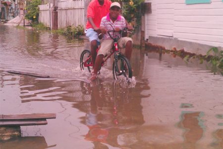 These two boys were taking a ride through James Street, Albouystown yesterday as floodwaters continued to rise in the area.
