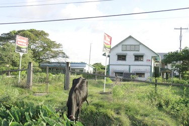 The nursery and secondary schools  shares a compound  