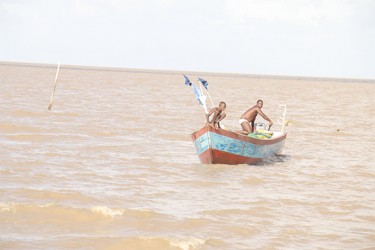 A fisherman bringing in his catch 