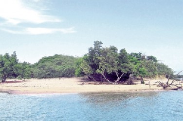 Little Goat Island (Jamaica Observer photo) 