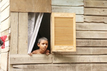 A boy looks through his window  