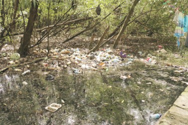 A section of the garbage-strewn swamp 