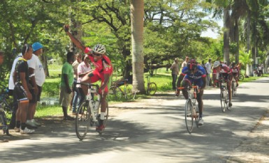  Marlon William celebrating as he is about to cross the finish line yesterday. (Orlando Charles photo) 