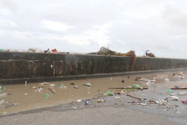 Debris washed over the seawall yesterday along Carifesta Avenue.  