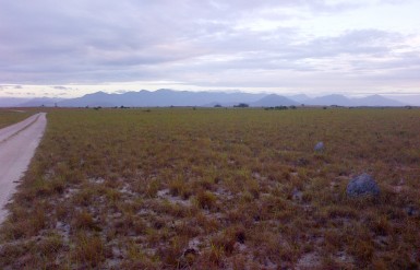 The Kanuku Mountains viewed from the South
