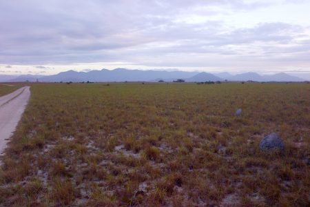 The Kanuku Mountains viewed from the South