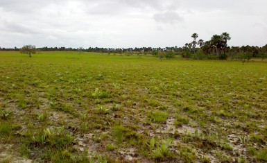 The savannahs surrounding Karaudarnau