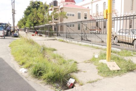 The weed-filled  parapet on Hadfield Street. The Speaker of the National Assembly, Raphael Trotman on Saturday complained about conditions around Parliament.