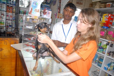 Receiving attention: Health and wellness services for animals is among the faster growth industries  in Guyana