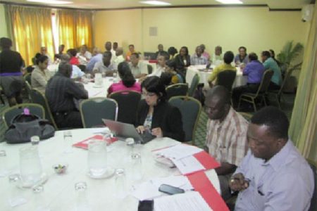 The consultation at Cara Lodge on the European Union’s Sanitary and Phyto-sanitary project for the region. (GINA photo)
