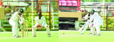 Veerasammy Permaul (right) and Devendra Bishoo offered resistance down the order during their 29-run partnership.