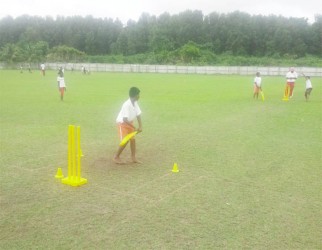 Action in the Scotiabank kiddy cricket festival at wales 