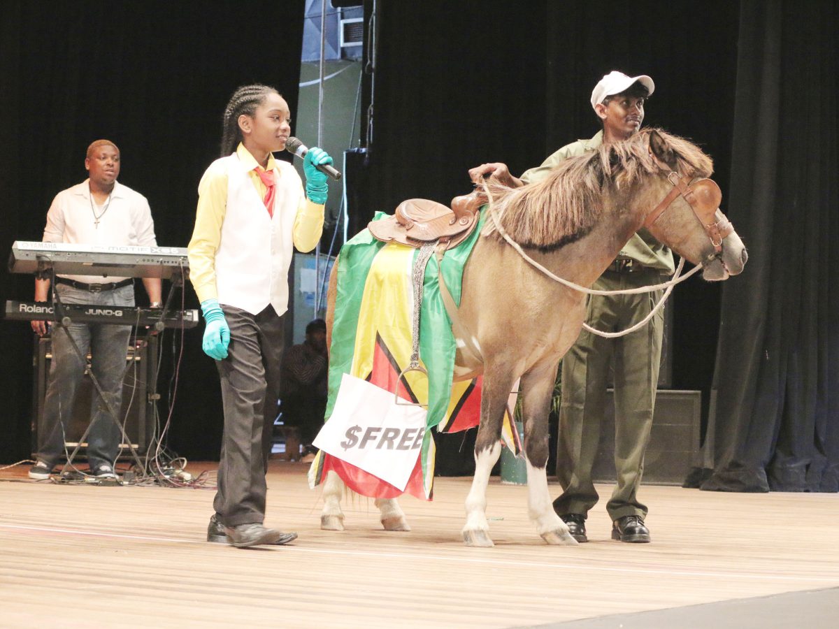 Colbert Fraser of Leonora Primary, Region Three trotting out his calypso yesterday entitled ‘No money’ with a bemused horse as a prop. Fraser was participating in the Children’s Mash Competition Finals at the National Cultural Centre. (Arian Browne photo)

